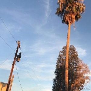 Meet your Posher, Chloe